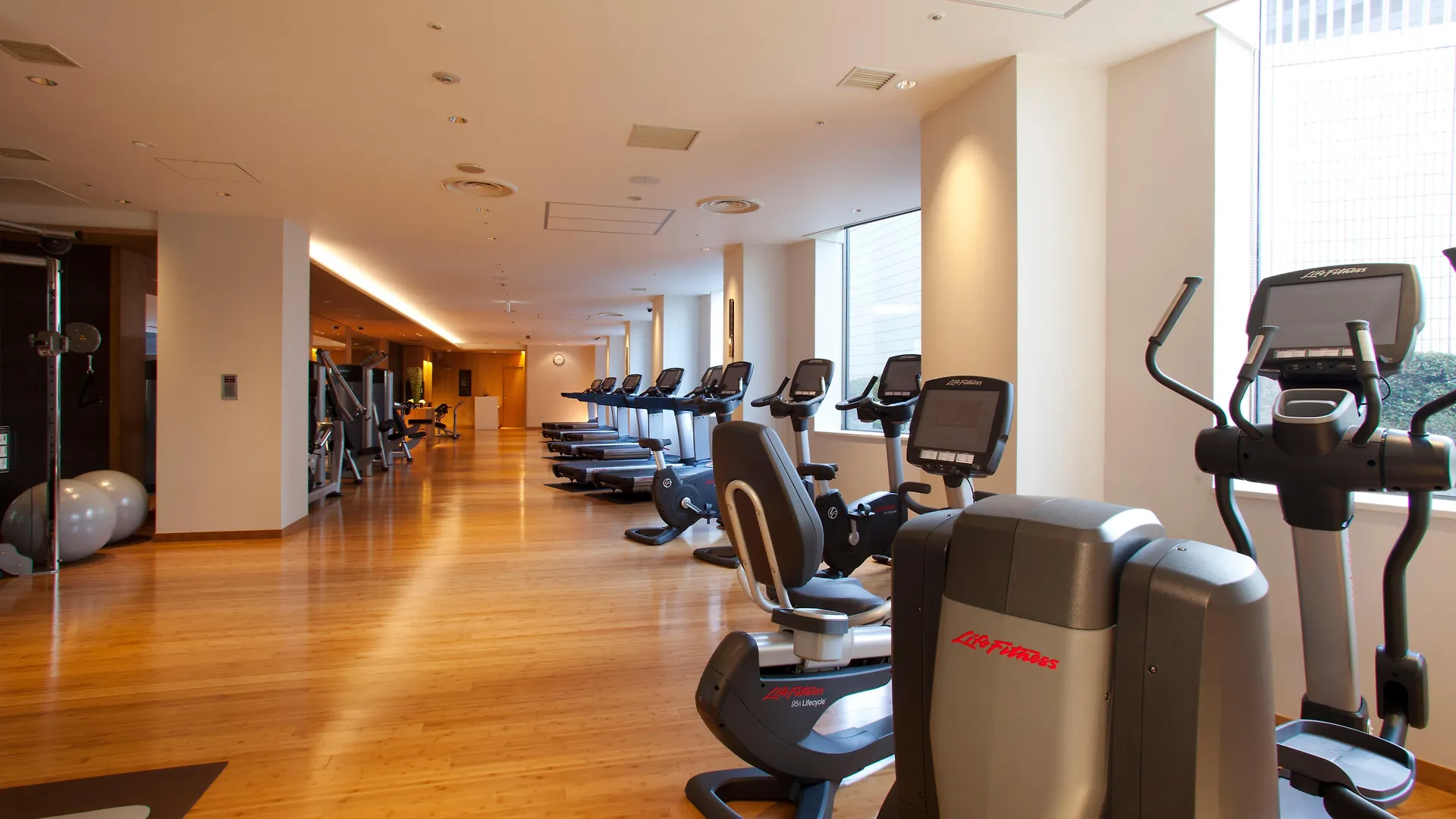 Ana Intercontinental Tokyo By Ihg Hotel Japan