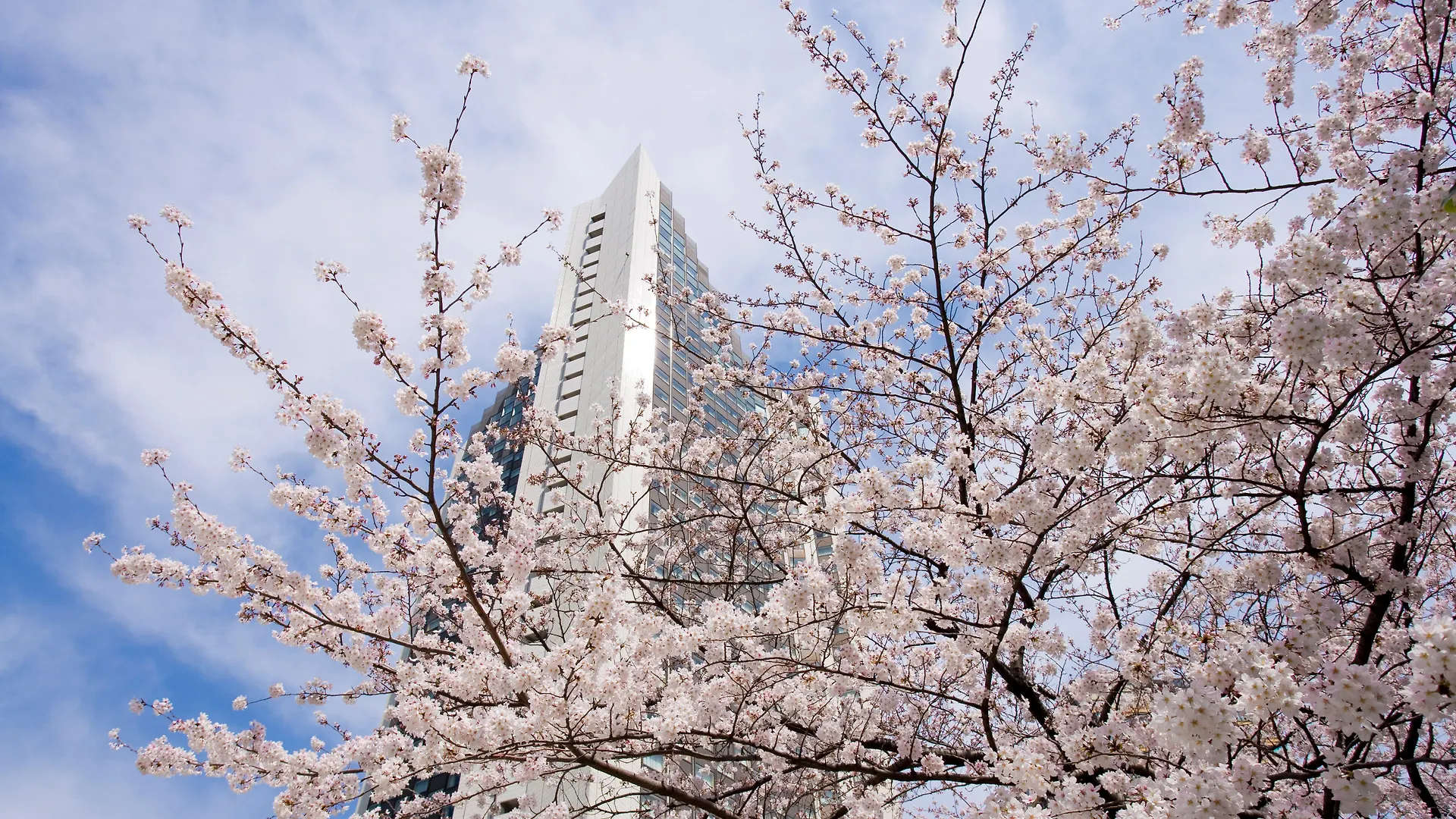 Ana Intercontinental Tokyo By Ihg Hotel 5*,