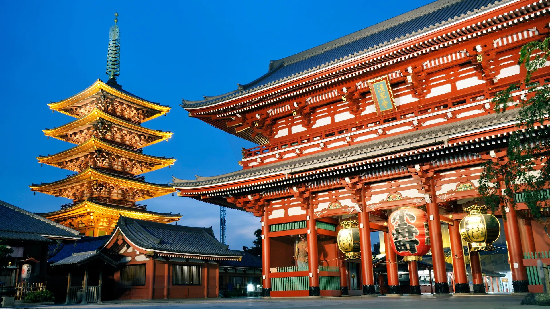 ***** ホテル Anaインターコンチネンタルホテル東京 東京都 日本